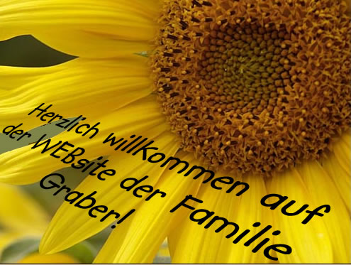 Willkommen Sonneblume